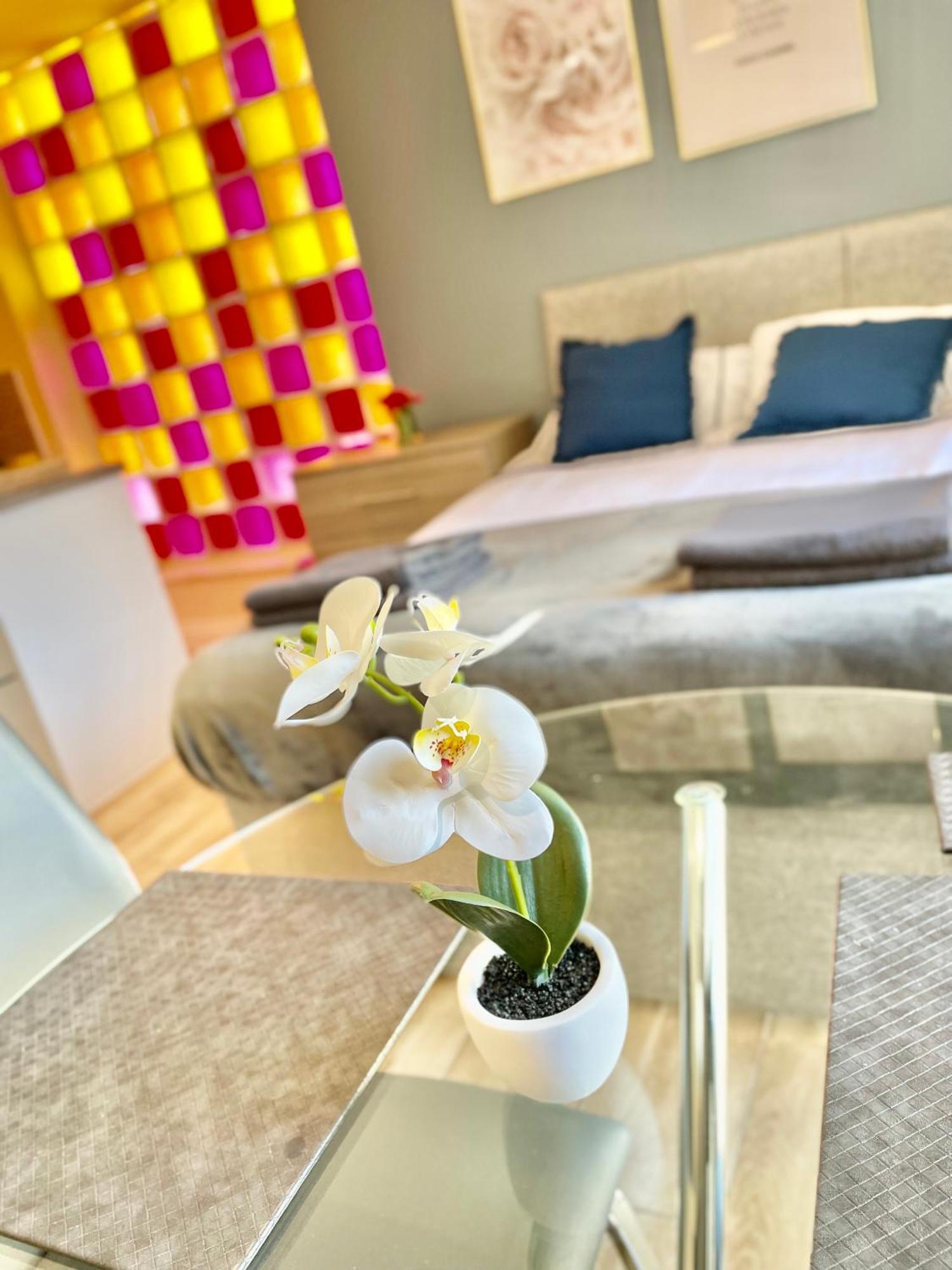 Cambridge City Centre Immaculate Studio Sleeps 2 - Central Location Paradise Street Extérieur photo